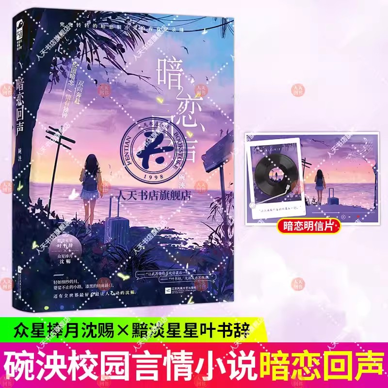 暗恋回声 碗泱著 暗恋甜文治愈言情小说实体书籍 众星捧月 沈赐 × 黯淡星星 叶书辞
