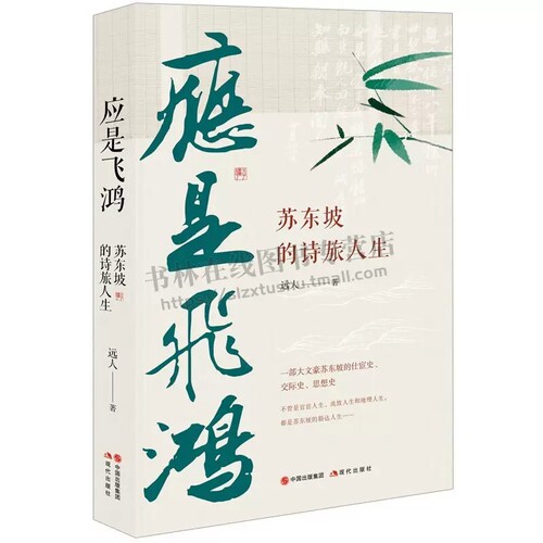 正版包邮 应是飞鸿：苏东坡的诗旅人生 古籍诗词人物传记 苏东坡生平传记 书写苏东坡从出仕到逝世的仕宦历程 现代出版社书籍