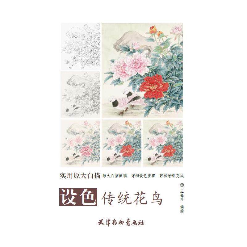 设色传统花鸟 实用原大白描 王金才编绘 工笔花鸟画线描稿详细设色步骤 临摹范本国画技法 天津杨柳青画社 正版书籍
