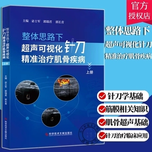 正版 整体思路下超声可视化针刀精准肌骨疾病 上册 宓士军 郭瑞君 郭长青 肌肉骨骼系统针刀疗法医学书籍 科学技术文献出版