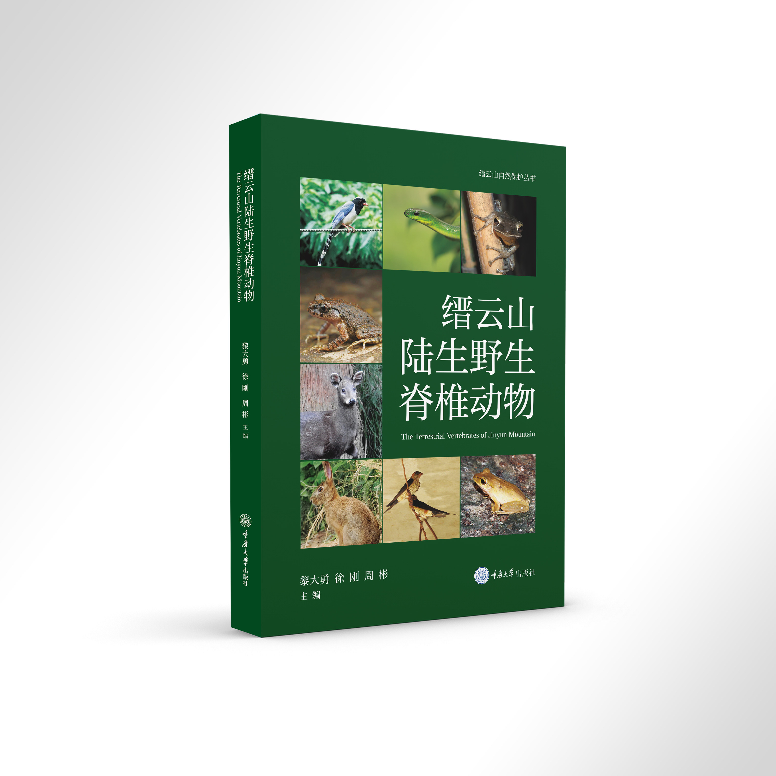 缙云山陆生野生脊椎动物 黎大勇 徐刚 周彬 主编 缙云山自然保护丛书 科普读物 9787568960892 重庆大学出版社书籍 - 实物图