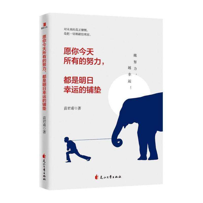 愿你今天所有的努力,都是明日幸运的铺垫 苗君甫 励志与成功书籍花山文艺出版社