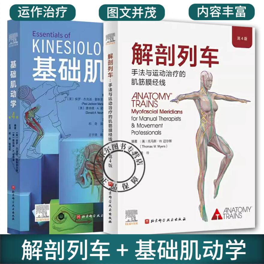 2册 解剖列车手法与运动治疗的肌筋膜经线 第4四版+基础肌动学 第4四版 肌肉骨骼系统的结构和功能 图谱肌动力学书籍 筋膜解剖书