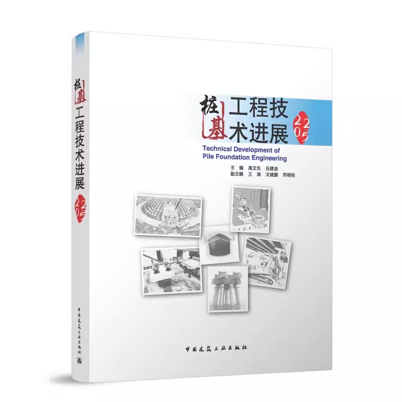 桩基工程技术进展2025 主编 高文生 丘建金 副主编 王涛 文建鹏 齐明柱 中国建筑工业出版社9787112317851