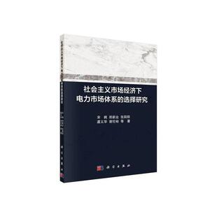 社会主义市场经济下电力市场体系的选择研究 宋枫等   经济书籍科学出版社
