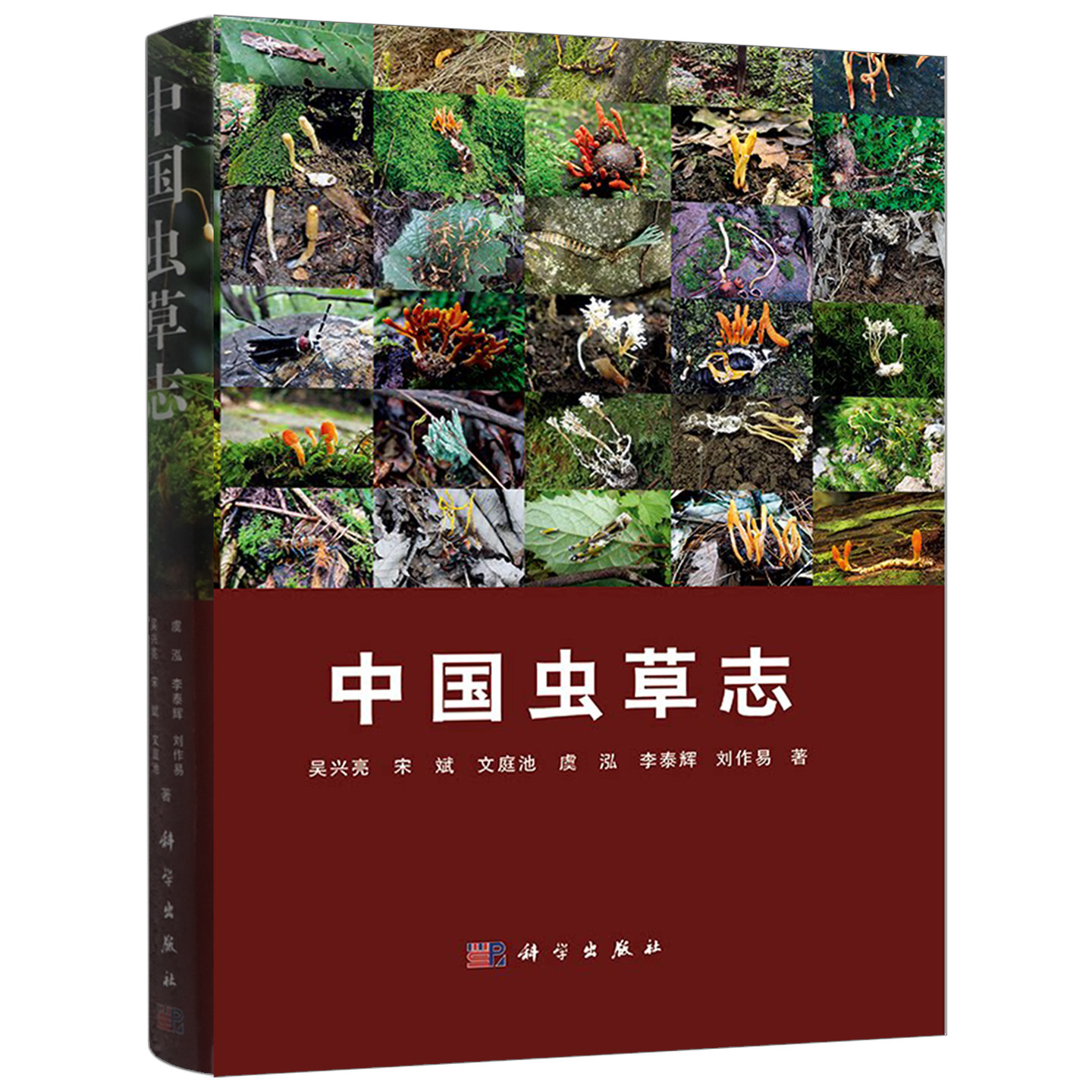 正版 中国虫草志 吴兴亮,宋斌,文庭池,虞泓,李泰辉等 图书书籍 科学出版社 9787030769015
