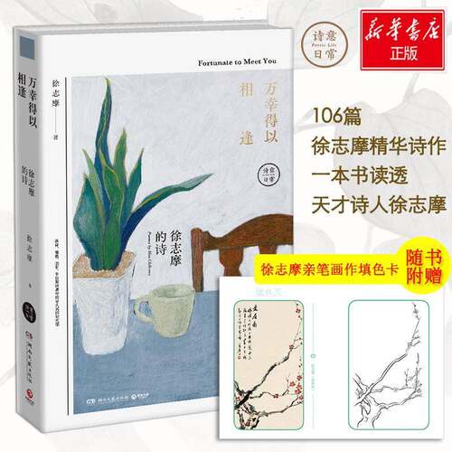 万幸得以相逢:徐志摩的诗:poemy Hsu Chih-mo 徐志摩 诗集中国现代 文学书籍湖南文艺出版社