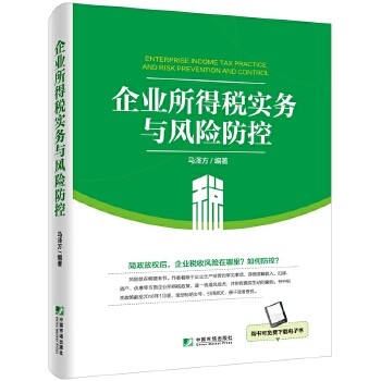 正版包邮 企业所得税实务与风险防控 马泽方  财政税收书籍 中国市场出版社