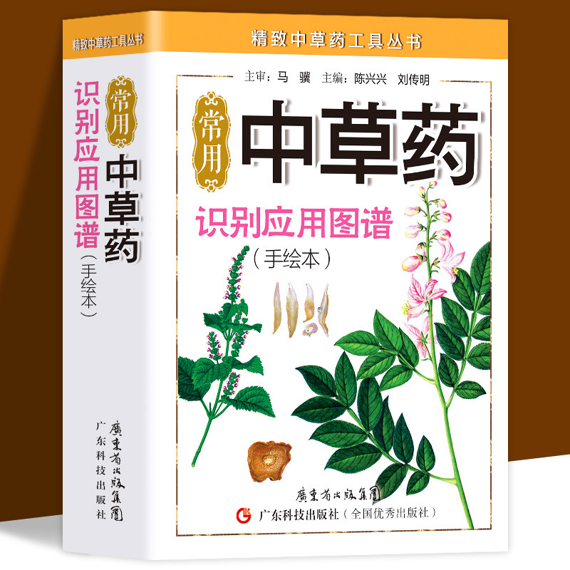 常用中草药识别应用图谱手绘本精致中医中药学习用书 医学院校参考用书本草纲目中医学入门药材辨认书中草药书籍大全
