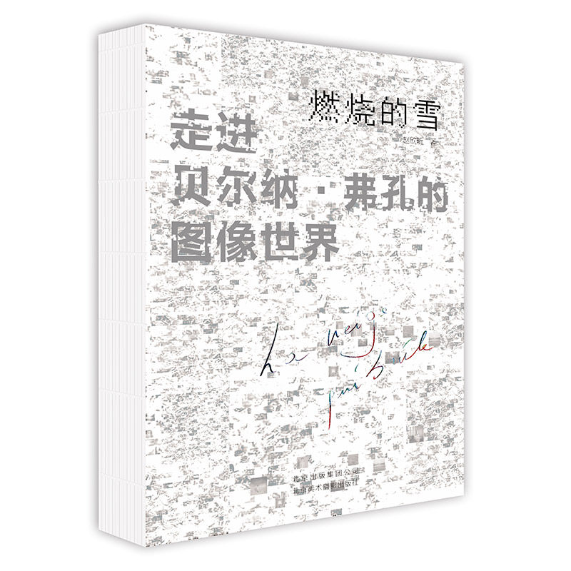 正版包邮 燃烧的雪—贝尔纳·弗孔的图像 风景物人像拍摄技巧 解读执导摄影 贝尔纳·弗孔摄影作品集 摄影教程 摄影xj