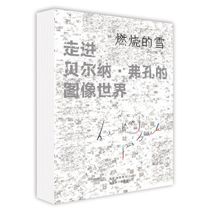 正版包邮 燃烧的雪—贝尔纳·弗孔的图像 风景物人像拍摄技巧 解读执导摄影 贝尔纳·弗孔摄影作品集 摄影教程 摄影xj