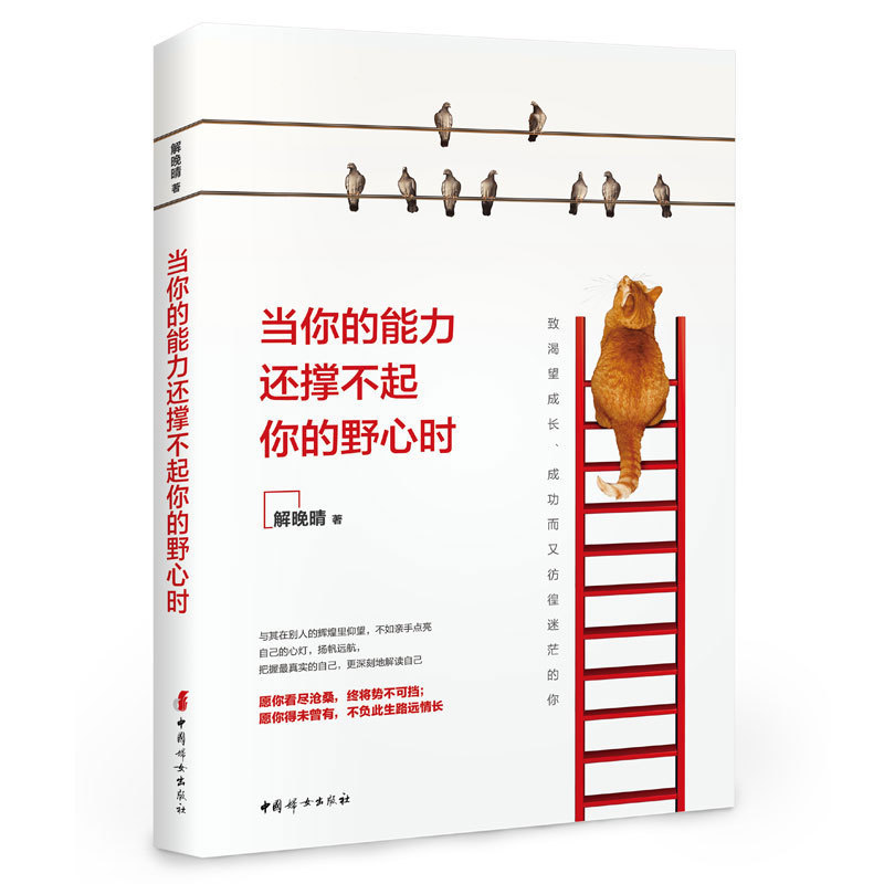 正版包邮当你的能力还撑不起你的野心时愿你历尽沧桑终将势不可挡愿你得未曾有不负此生路远情长成功励志类书籍