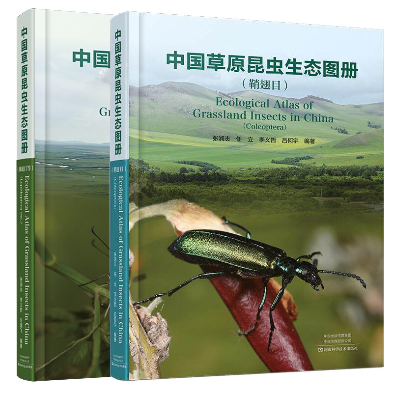 中国草原昆虫生态图册:鳞翅目+鞘翅目 张润志 数百种昆虫拉丁学名中文名称分类地位形态特征生态照片书籍正版河南科学技术出版社