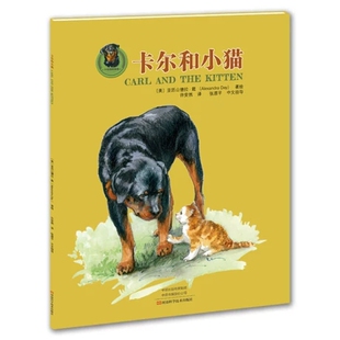图书 儿童小说书籍 包邮 故事系列绘本：卡尔和小猫〔美〕亚历山德拉·戴 河南科学技术9787534987144 卡尔狗 正版