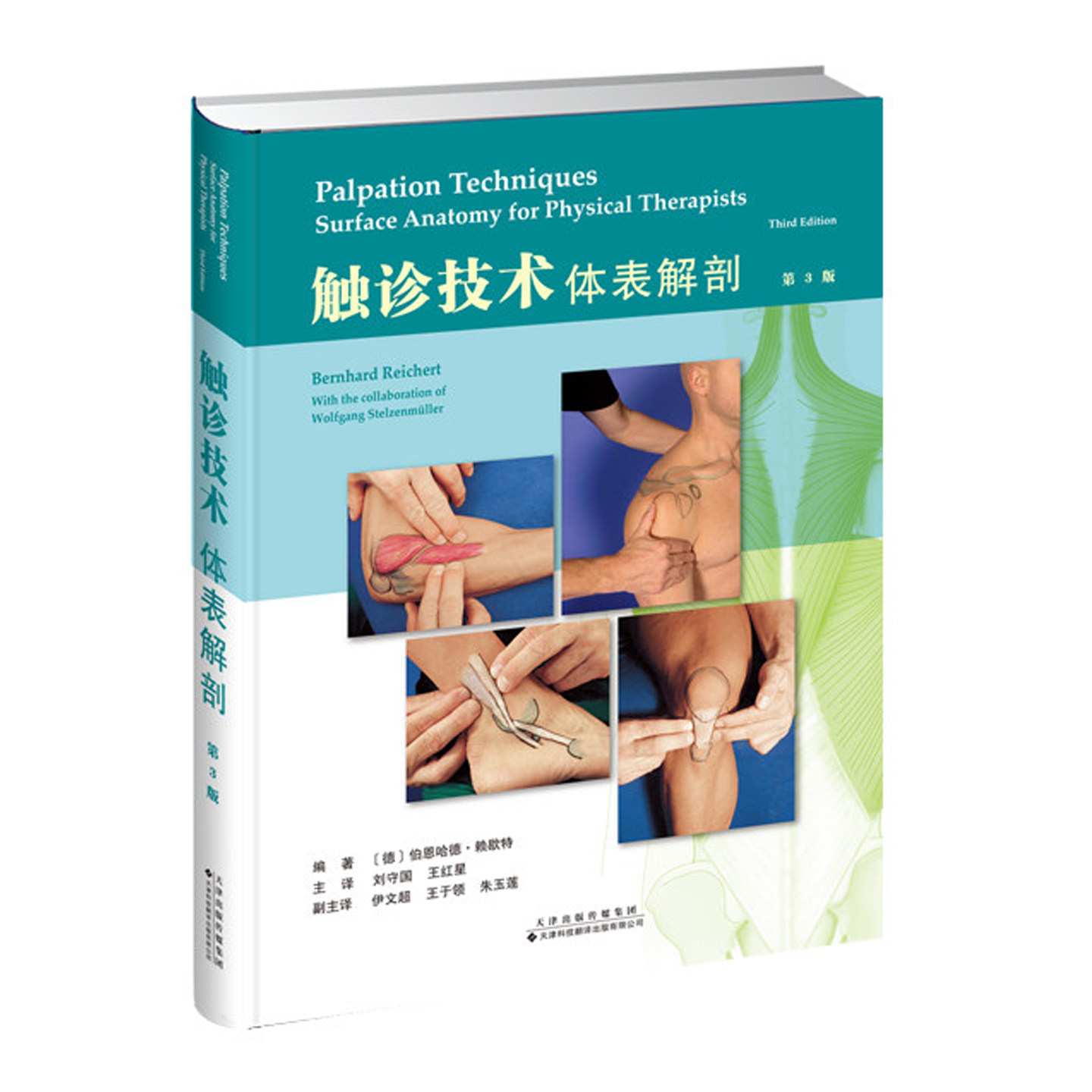 触诊技术:体表解剖 第3版肌肉骨骼和韧带腹部触诊技巧图解指南手法治疗 康复评估治疗基础参考康复医师骨科医师物理治疗师医学书籍