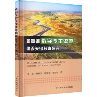 正版包邮 疏勒河数字孪生流域建设关键技术研究惠磊工业技术黄河水利出版社书籍
