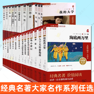经典名著大家名译全套任选背影白洋淀纪事湘行散记朝花夕拾呐喊艾青诗选呼兰河传简爱爱丽丝漫游奇境爱的教育钢铁是怎样炼成的童年