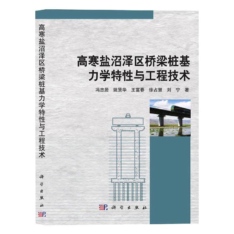 高寒盐沼泽区桥梁桩基力学特性与工程技术 冯忠居 寒冷地区盐沼泽桥梁基础桩基础研普通大众交通运输书籍科学出版社