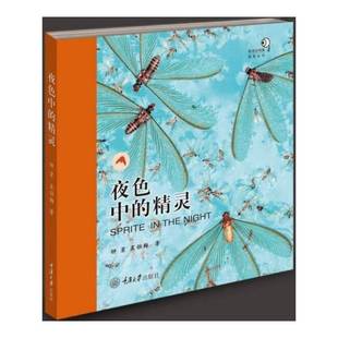 自然科学书籍正版 钟茗 精灵 夜色中