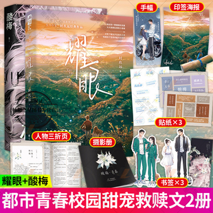 语录贴纸 酸梅 番外 CP手幅 花火青春校园双向救赎成长小说青春校园言情情感文学小说畅销 新增出版 异形书签 2册 印签海报 耀眼