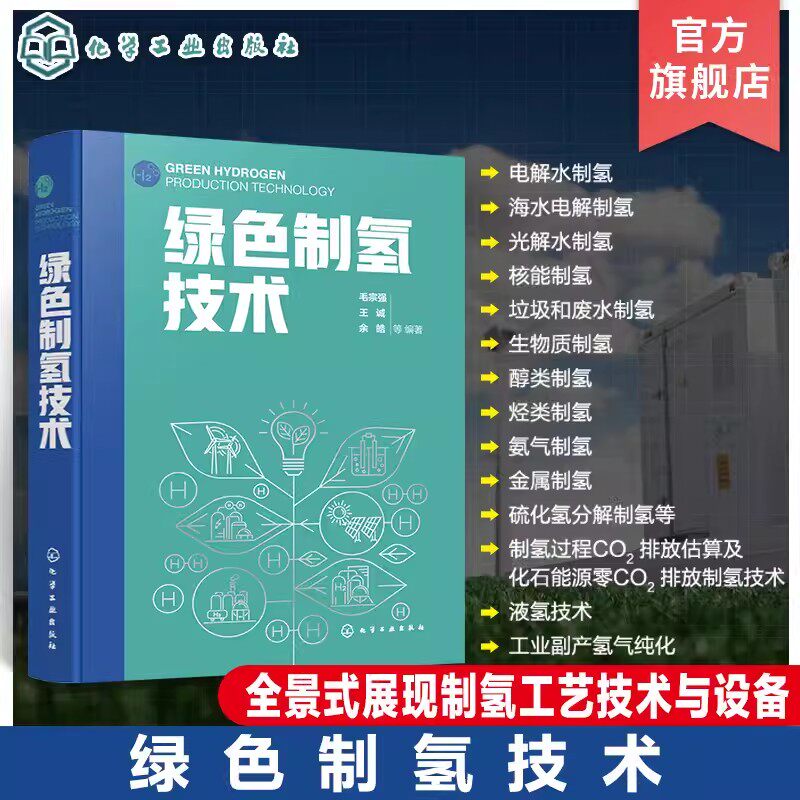 绿色制氢技术 全景式展现制氢工艺 设备与技术 电解水制氢 光解水制氢 生物质制氢 醇类制氢 氢能领域制氢技术研究技术人员参考书