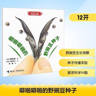 野豌豆种子 图书书籍正版 高柳芳惠 社 接力出版 噼啪噼啪