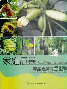 包邮 家庭小菜园蔬菜种植书绿色蔬菜瓜果种植技术大全书籍 家庭瓜果零基础和养全图解 社 家庭蔬菜栽培书籍 国农业出版 正版