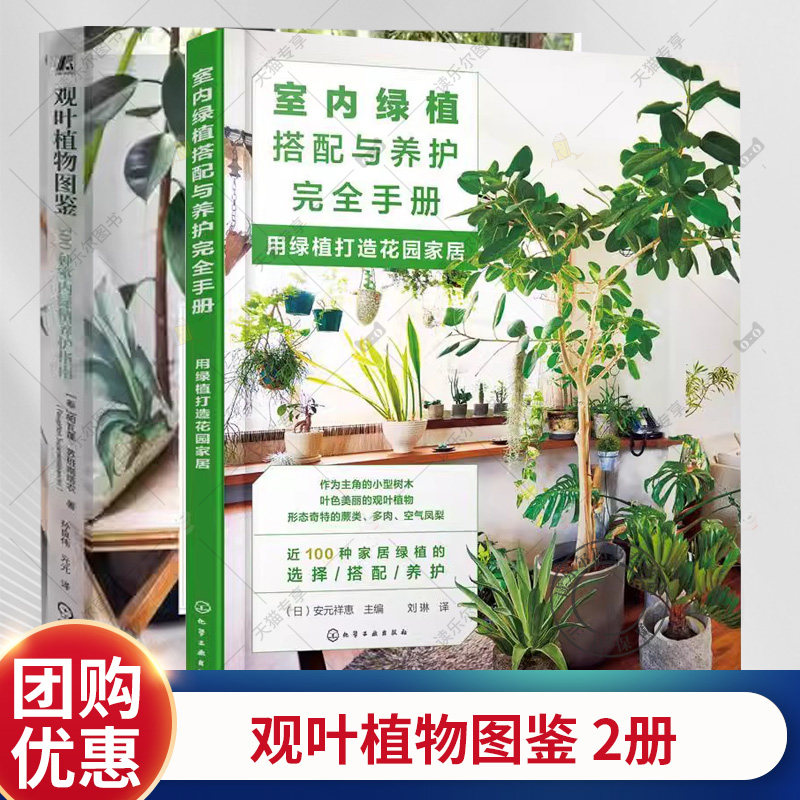 2册 观叶植物图鉴 500种室内绿植养护指南+室内绿植搭配与养护完全手册 用绿植打造花园家居 挑选合适家庭环境的植物植物后期养护
