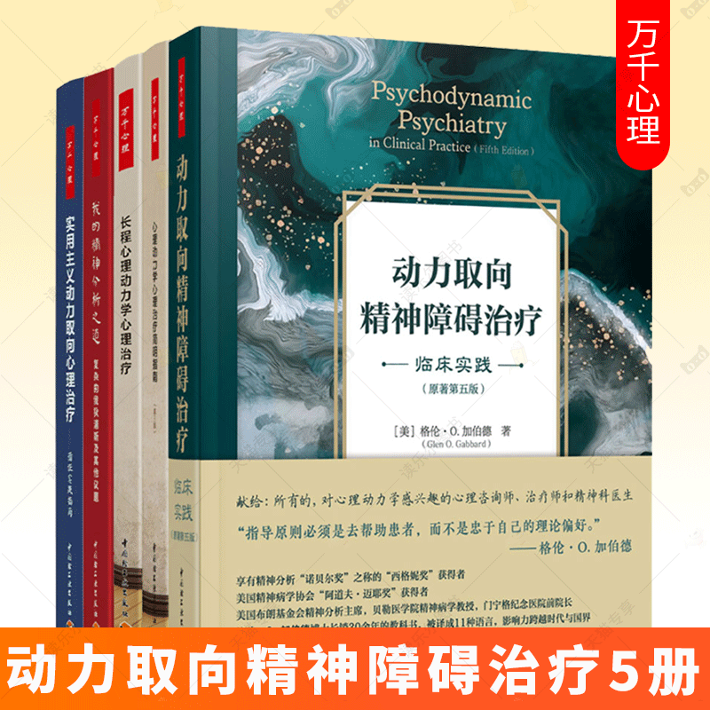 动力取向精神障碍治疗短程动力取向心理治疗实践指南长程心理动力学心理治疗心理动力学心理治疗简明指南实用主义动力取向心理治疗