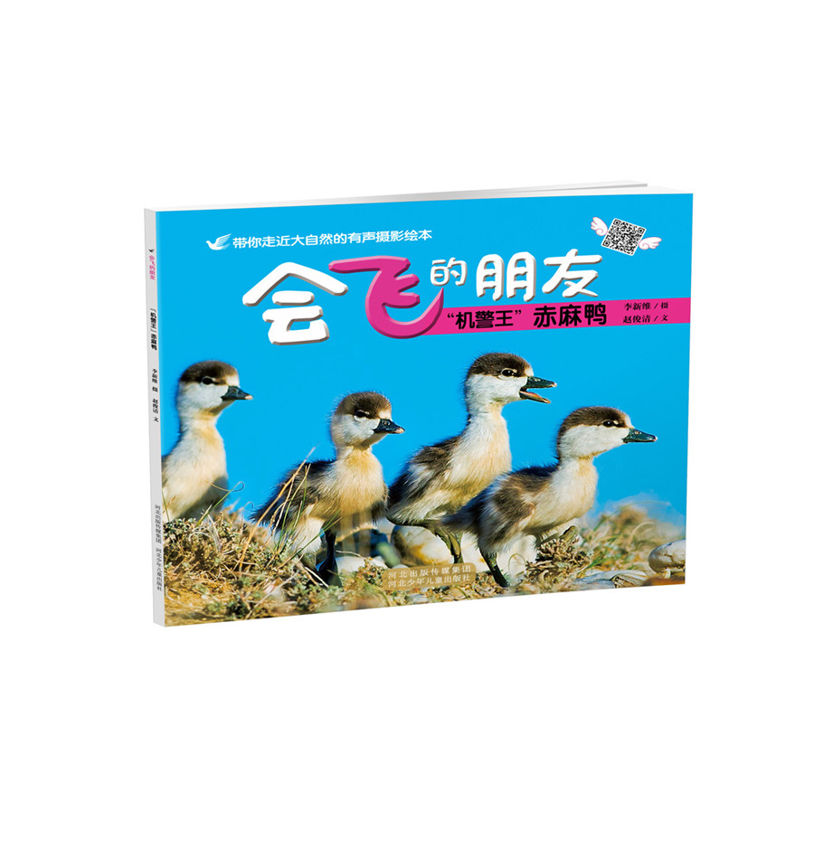 会飞的朋友机警王赤麻鸭 李新维摄 河北少年儿童出版社 百科全书 书籍
