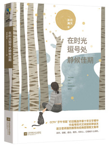 在时光逗号处静候佳期 凉月满天 中国当代小说 书籍