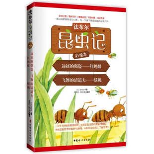 清道夫 社 中国妇女出版 6岁 强盗 红蚂蚁.飞舞 入学准备 法布尔昆虫记彩绘本 绿蝇 百科 wh远征 童书 科普