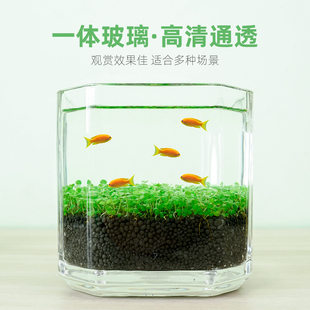 玻璃鱼缸diy生态瓶微景观迷你小鱼生态缸桌面微观植物水草籽造景