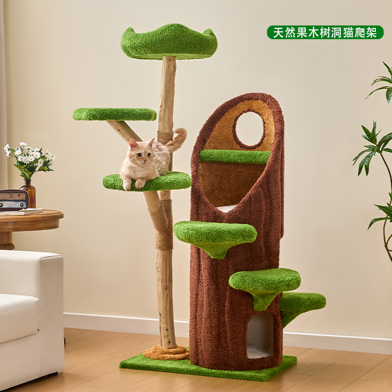 实木树洞不占地四季通用猫爬架