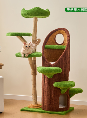 实木树洞不占地猫爬架猫树猫窝玩睡一体四季通用大猫多猫宠物玩具