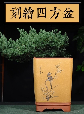 紫砂盆 透气 刻绘四方兰花盆 客厅室内落地款手工紫砂花盆户外盆