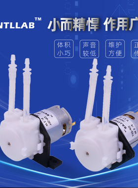 INTLLAB 蠕动泵 微型水泵 家用小型静音 自吸泵 直流抽水泵 12V