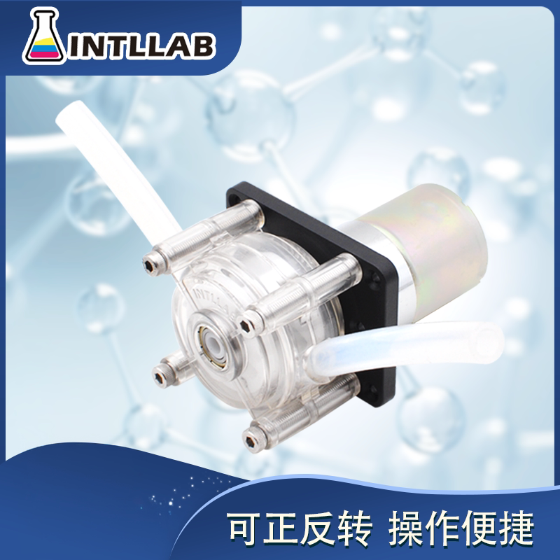 蠕动泵大流量微型自吸