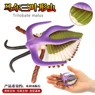 仿真寒武纪远古生物鹦鹉螺三叶形虫菊石模型玩具鲎塑胶儿童科教