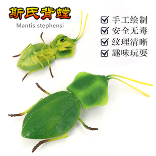 仿真科教昆虫枯叶斯氏背螳螂模型玩具蝴蝶成长青蛙蚂蚁儿童益智
