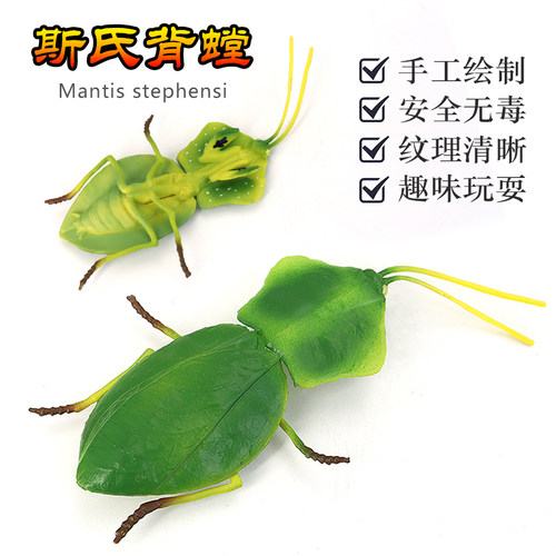 益智昆虫塑胶仿真模型螳螂玩具
