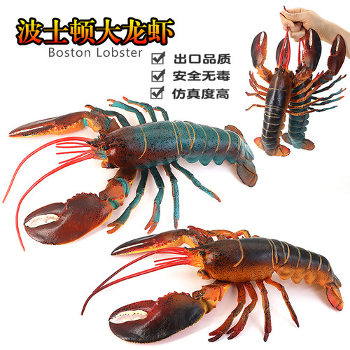 海洋动物塑胶超大龙虾实心模型