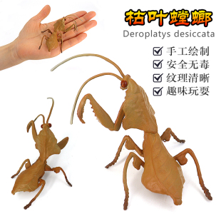 仿真科教昆虫枯叶螳螂模型玩具蝴蝶成长青蛙蝌蚪蚂蚁儿童益智礼物