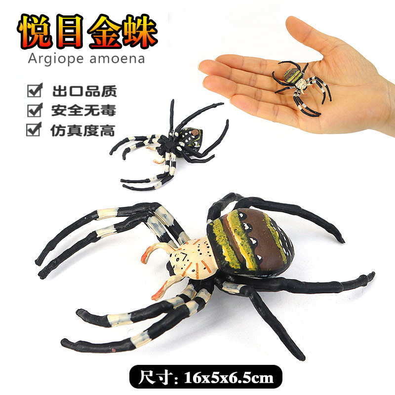 仿真蜘蛛玩具模型悦目金蛛动物毒狼蛛整蛊吓人搞怪科教昆虫儿童