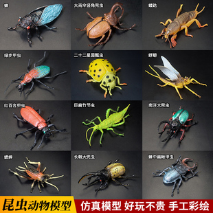 仿真锹甲知了蟋蟀模型独角仙儿童玩具蜉蝣昆虫蝼蛄科教育甲虫标本