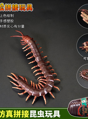 仿真拼插昆虫标本蜈蚣蝎子模型
