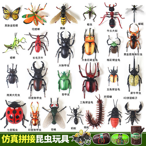 拼插螳螂蜜蜂蝎子模型甲虫玩具