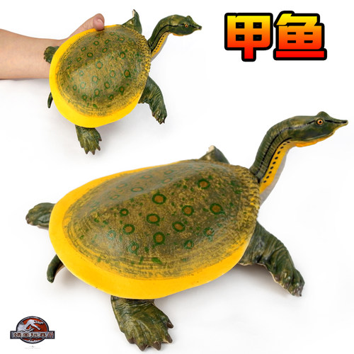 模型海洋动物塑胶甲鱼鳖摆件乌龟