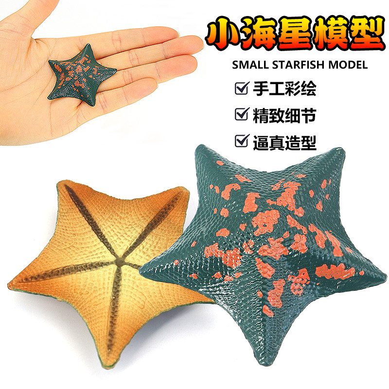 仿真海底五角海星模型玩具鱼缸装饰摆件海洋动物儿童教育认知礼物