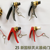 25新国标灭火器阀门纯铜1 35Kg器头机头符合GB4351 2023检测报告